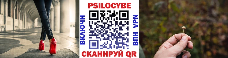 blacksprut зеркало хочу наркоту Терек Псилоцибиновые грибы прущие грибы